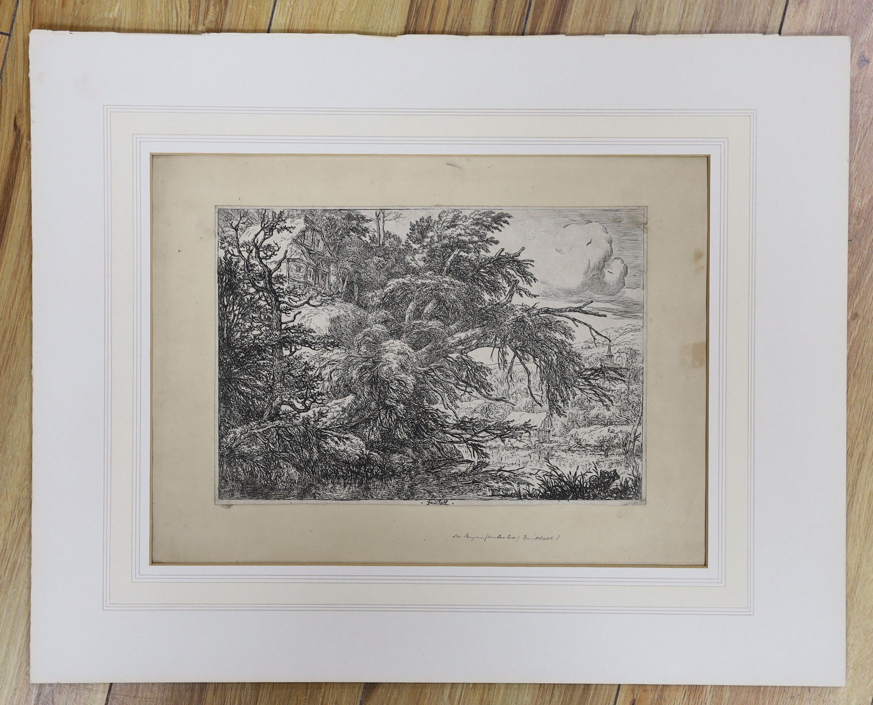 Jacob Isaackszoon van Ruisdael, (c.1629-1682), etching on thin laid paper, 'The Cottage on the Hill', 19 x 27.5cm, unframed